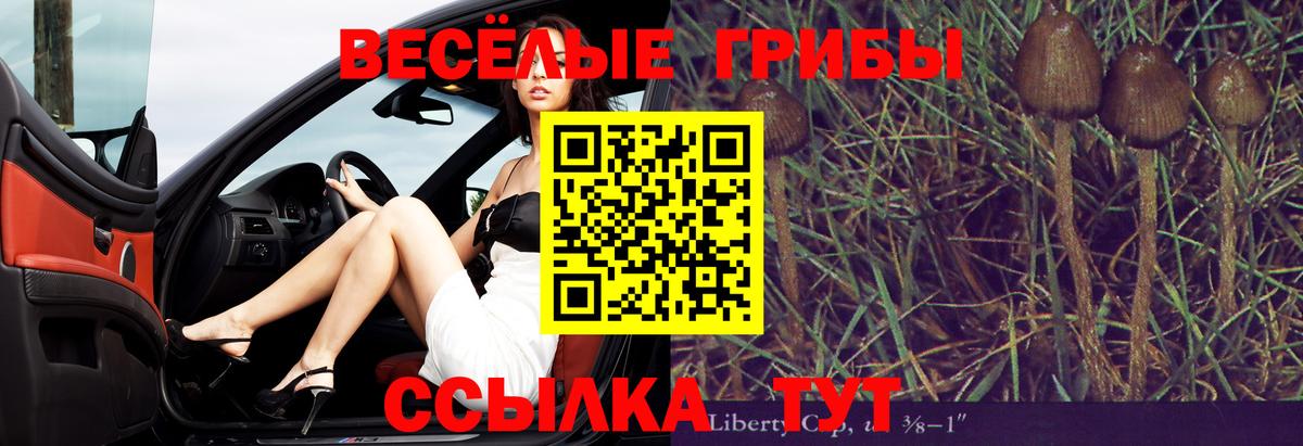 Алатырь  Псилоцибиновые грибы Magic Shrooms  купить закладку  Вход с VPN 